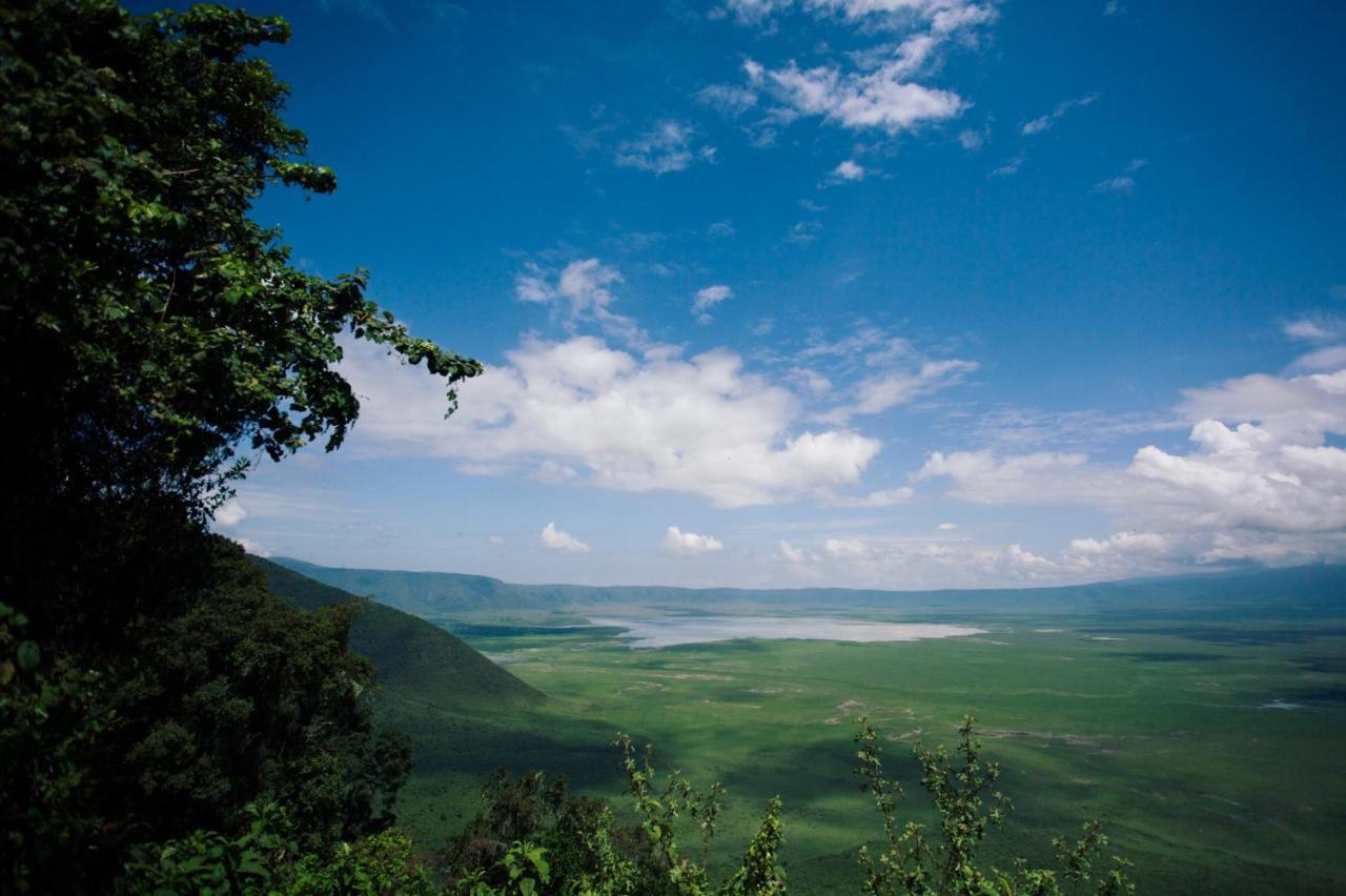 Charming Eco-Homestay Near Kilimanjaro International Airport Arusha Eksteriør bilde