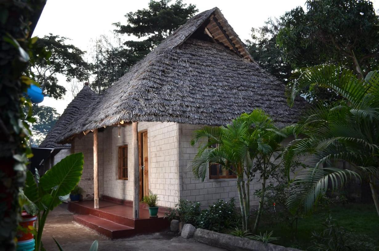 Charming Eco-Homestay Near Kilimanjaro International Airport Arusha Eksteriør bilde