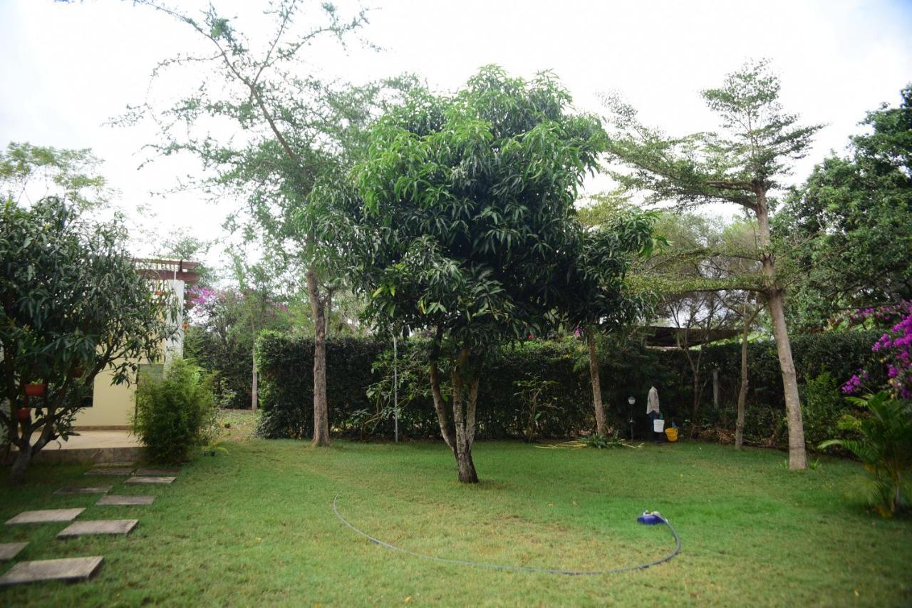 Charming Eco-Homestay Near Kilimanjaro International Airport Arusha Eksteriør bilde